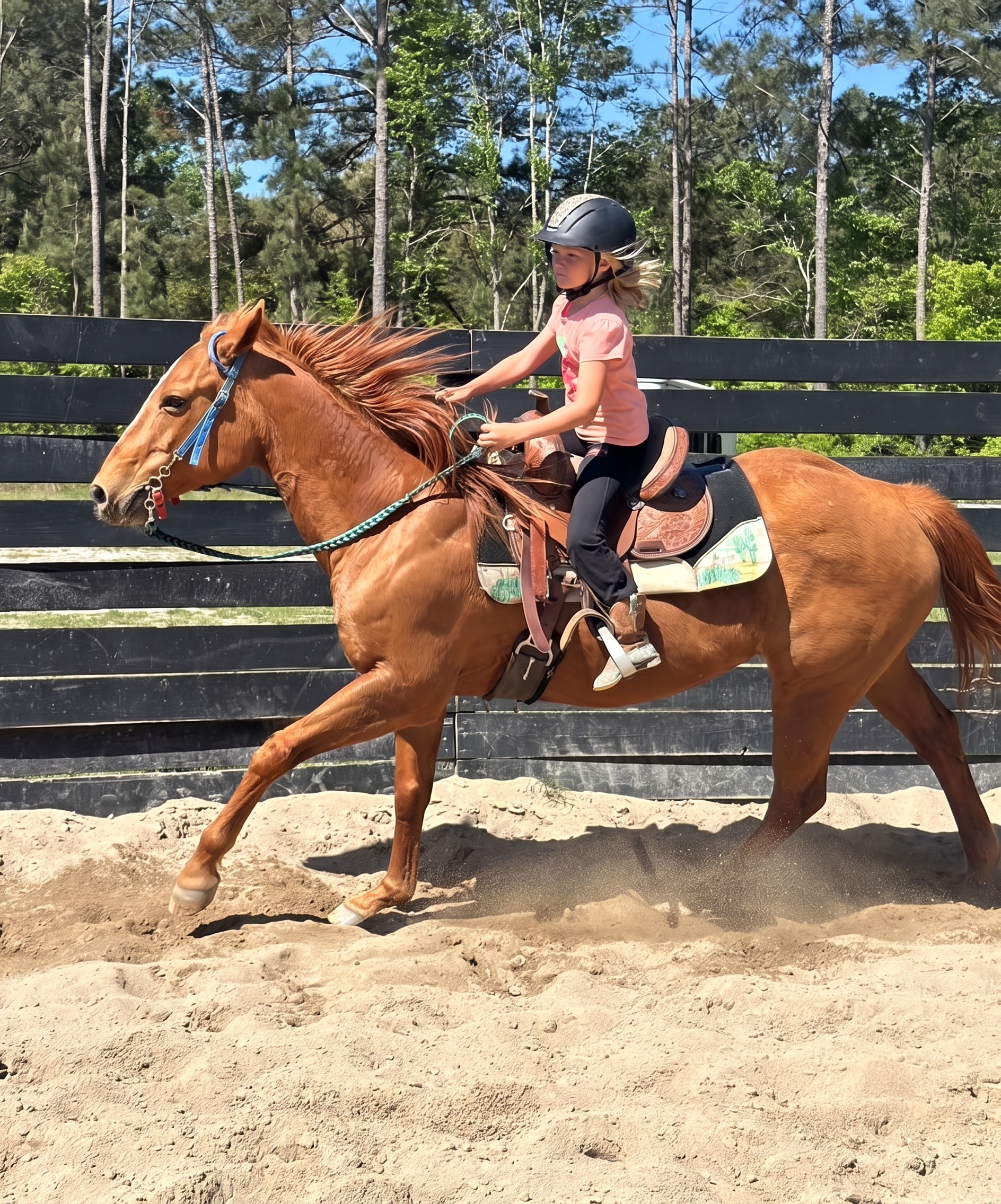 A young student cantering a chestnut horse during a lesson